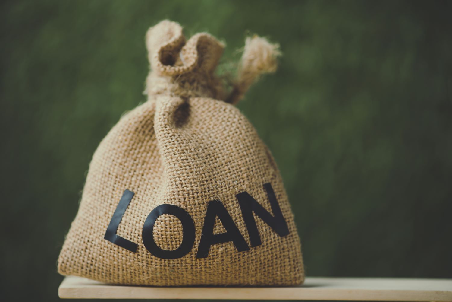 A sack with the word Loan written on it